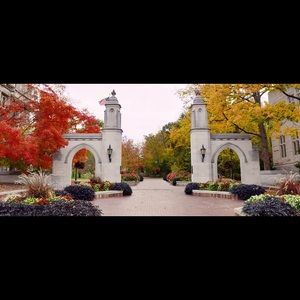 Meet your Posher, Bin